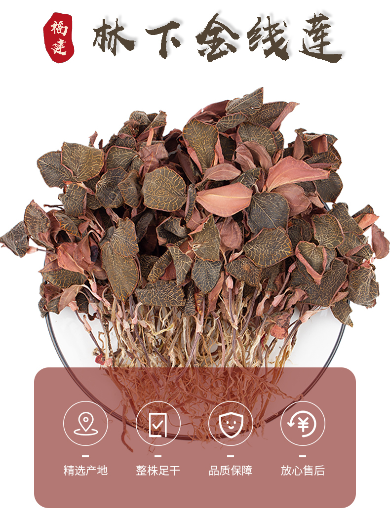 正宗林下<a href=http://www.xyldsj.com/ target='_blank'>金線蓮</a>干品