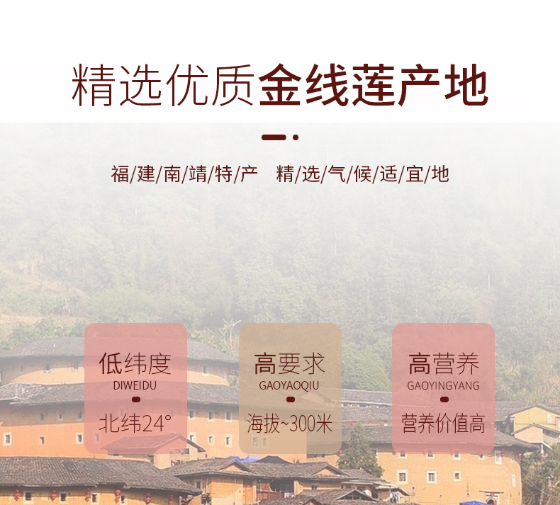開(kāi)花<a href=http://www.xyldsj.com/ target='_blank'>金線蓮</a>干品