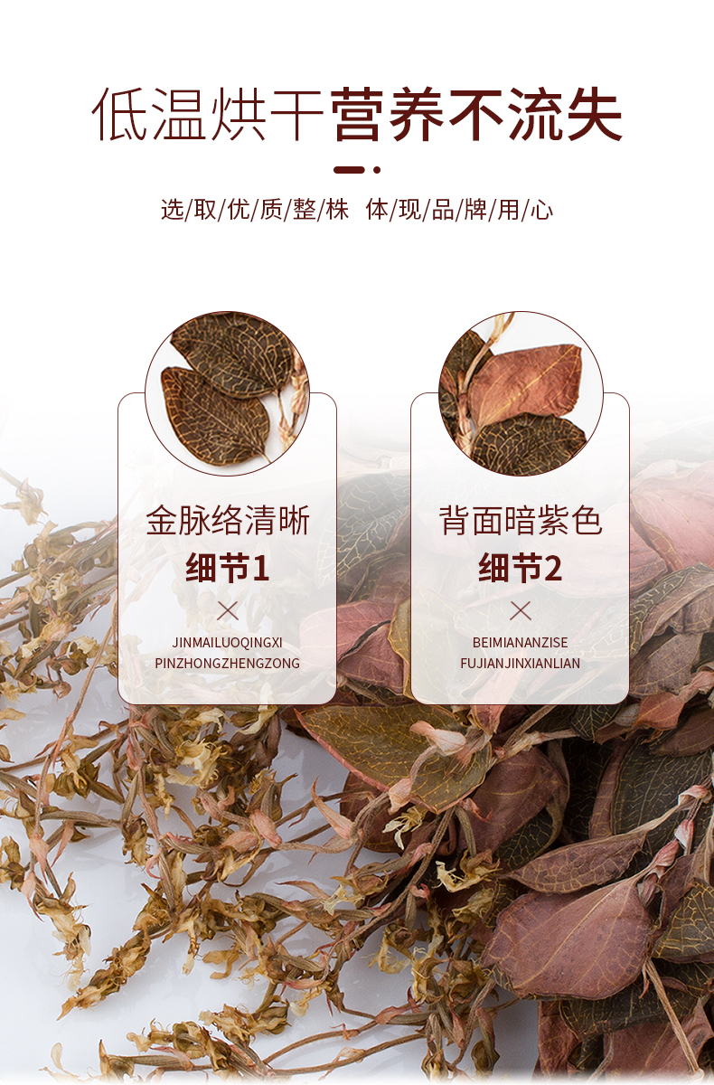 開(kāi)花金線蓮干品