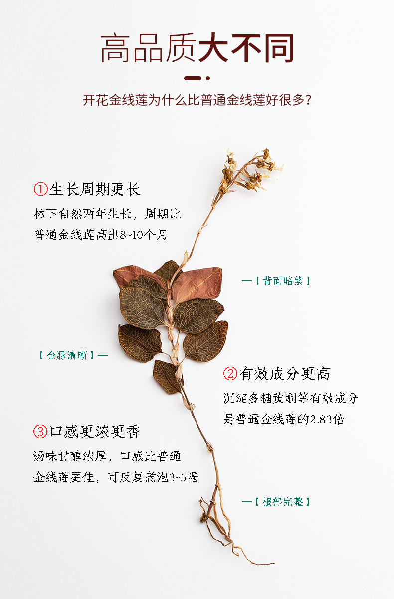 開(kāi)花金線蓮干品