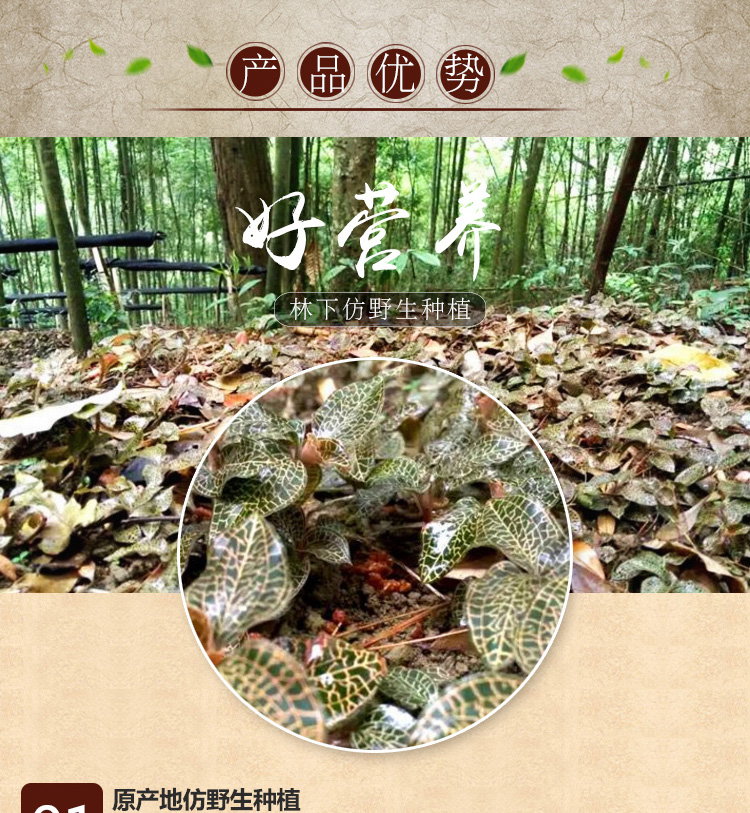 <a href=http://www.xyldsj.com/ target='_blank'>金線蓮</a>干品 20克禮盒裝