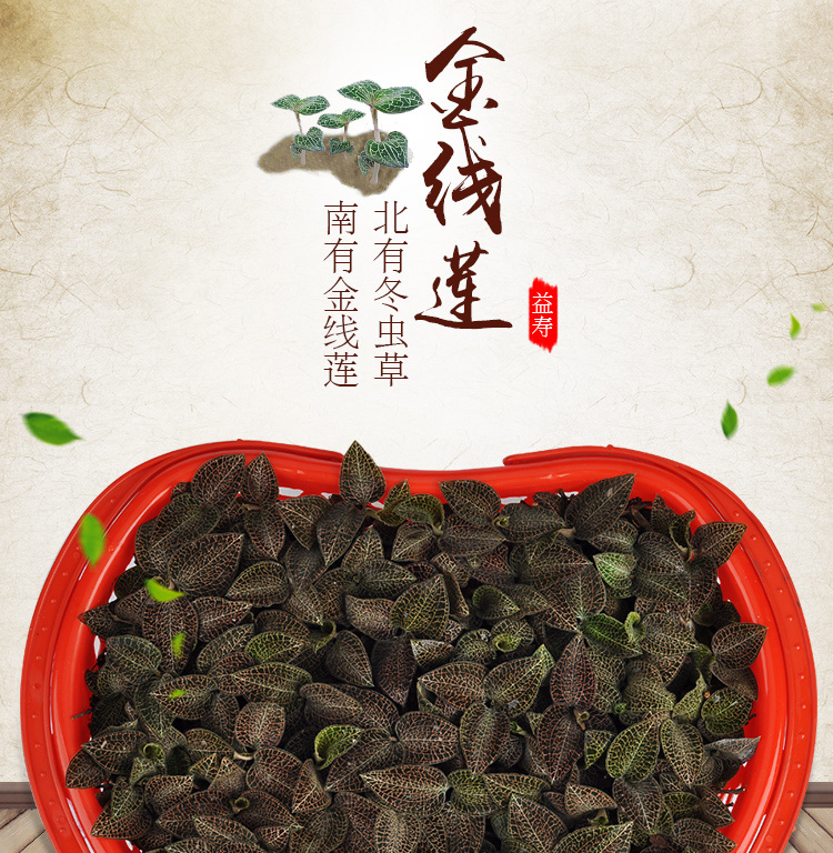 <a href=http://www.xyldsj.com/ target='_blank'>金線蓮</a>鮮品 籃裝